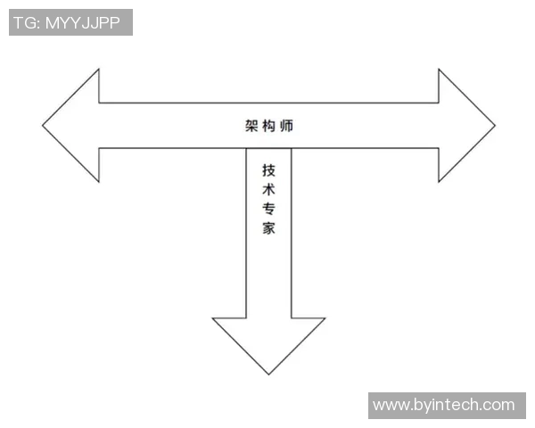 实时新闻深圳羽毛球队的战术运营体系解析与实践经验分享